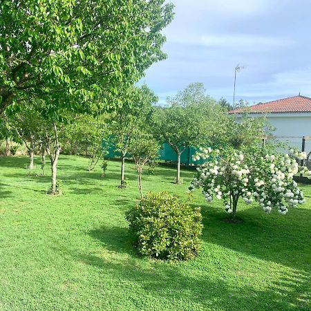 A Casa Vermella Con Jardin A 10 Minutos De Santiago De Compostela Apartment Ortono ภายนอก รูปภาพ